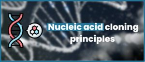 Lire la suite à propos de l’article Nucleic acid cloning principles