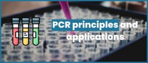 Lire la suite à propos de l’article PCR principles and applications