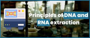 Lire la suite à propos de l’article Principles of DNA and RNA extraction